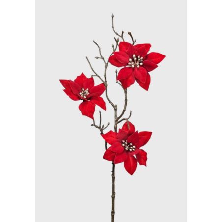 POINSECJA VELVET 3 KWIATY 65CM PURE RED