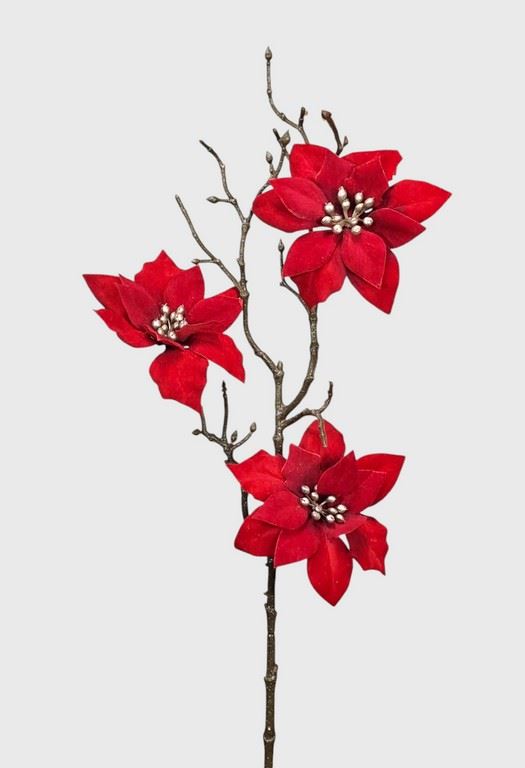 POINSECJA VELVET 3 KWIATY 65CM PURE RED