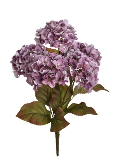 BUKIET HORTENSJI 44CM 5KWIATÓW KLM1107 DIRTY BEAUT