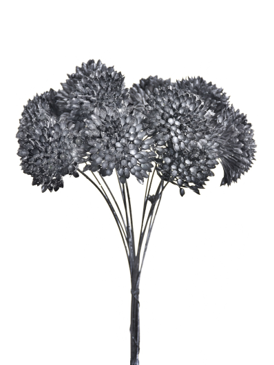 CZOSNEK NA PIKU 33CM XLIU038 STEEL