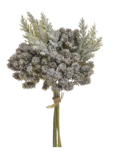 PĘCZEK DROBNYCH SZYSZEK SZRON 30CM GREEN FROST