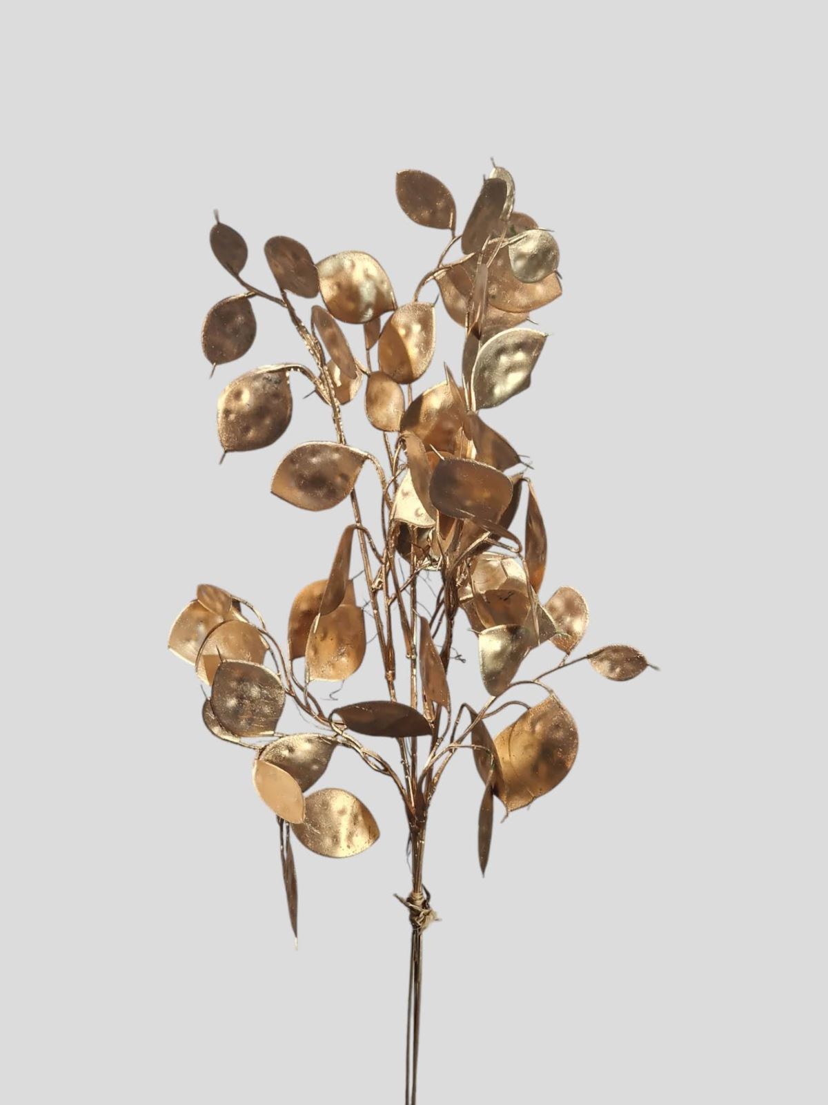LUNARIA – TALARKI PĘCZEK 3 GAŁĄZKI 45CM GOLD