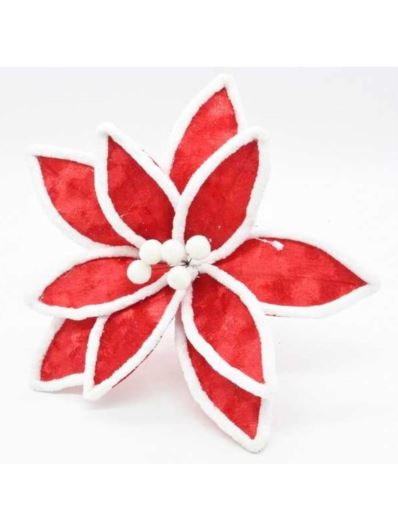 POINSECJA VELVET 22CM RED WHITE EDGE