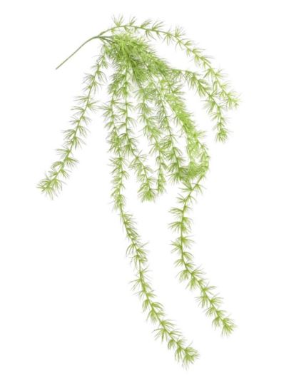 MODRZEW ZWIS 88CM TIK185 GREEN