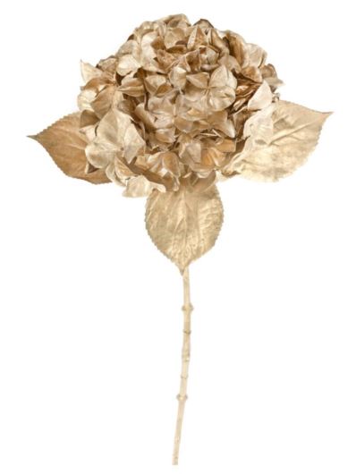 HORTENSJA POJEDYNCZA XKLM1022 GOLD