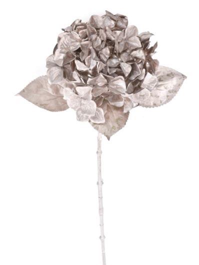 HORTENSJA POJEDYNCZA XKLM1022 OLD PINK