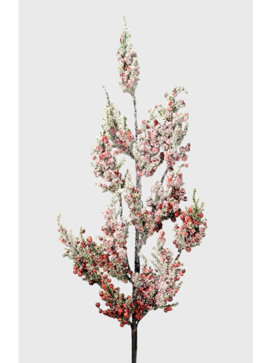 JAŁOWIEC Z CZERWONYMI OWOCAMI 76CM FROST RED GREEN