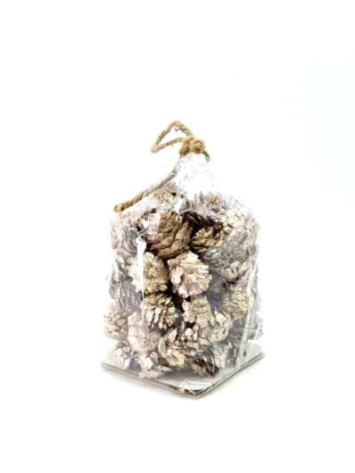 SZYSZKI MODRZEW PACZKA METALIC CHAMPAGNE