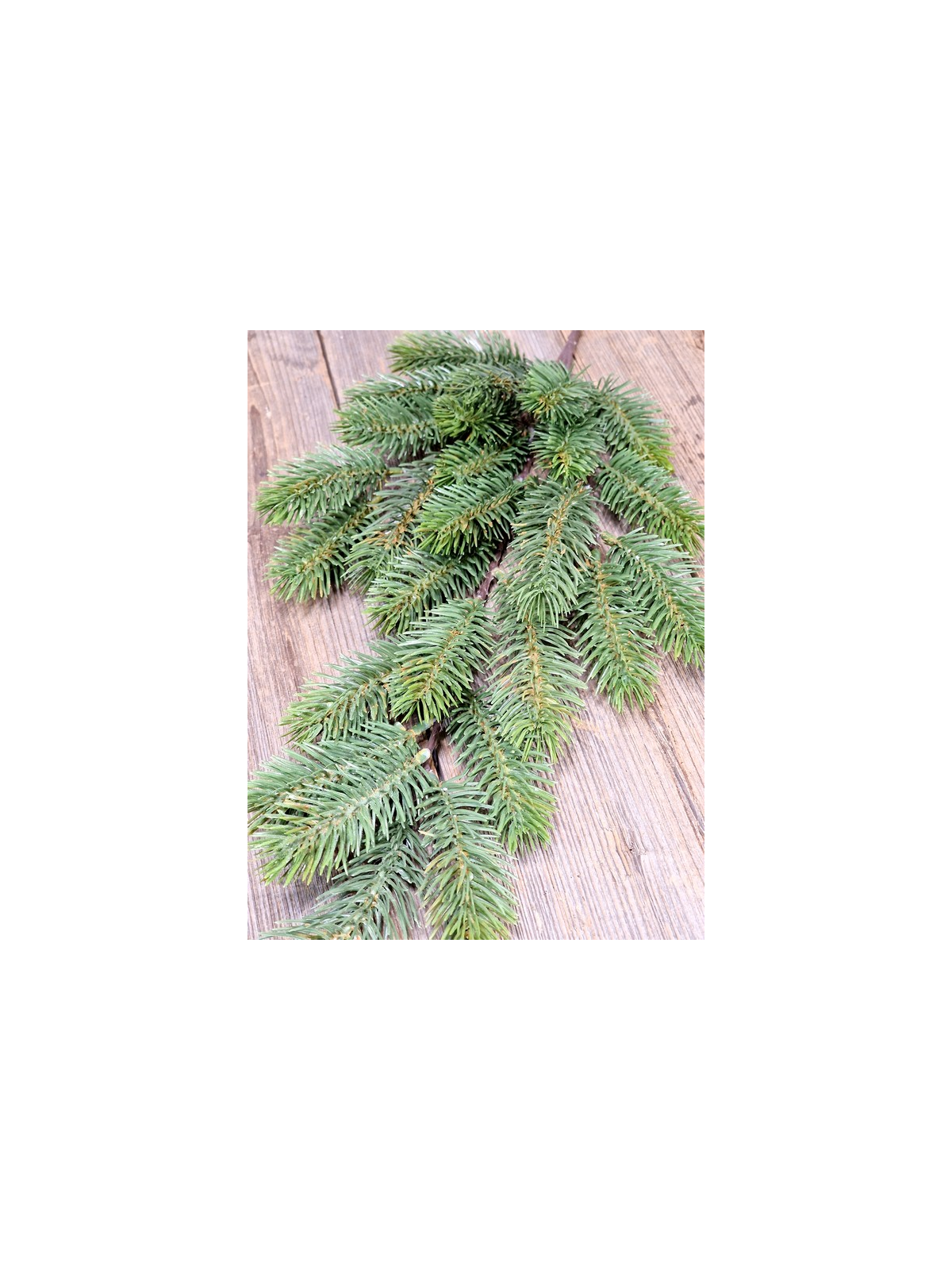 ŚWIERK GAŁĄZKA DUŻA 74CM 27 TIPS GREEN