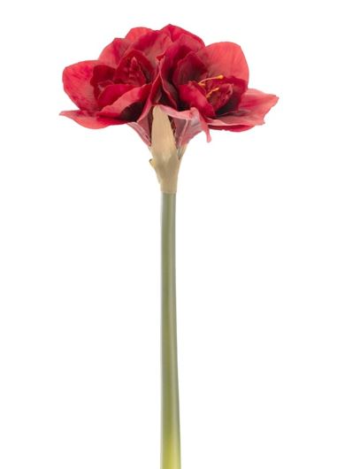 AMARYLIS 62CM NATURALNY W DOTYKU AJ40607 RED