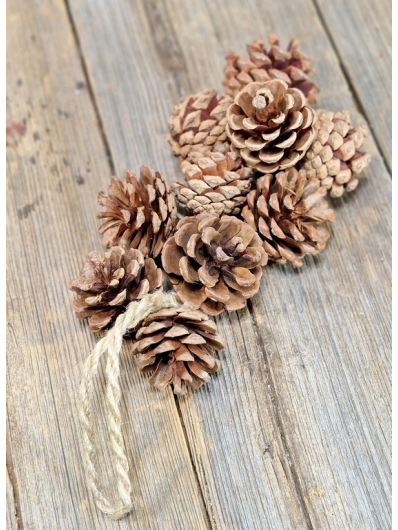 SZYSZKI NATURALNE ZWIS GIRLANDA 30CM NATURAL BROWN