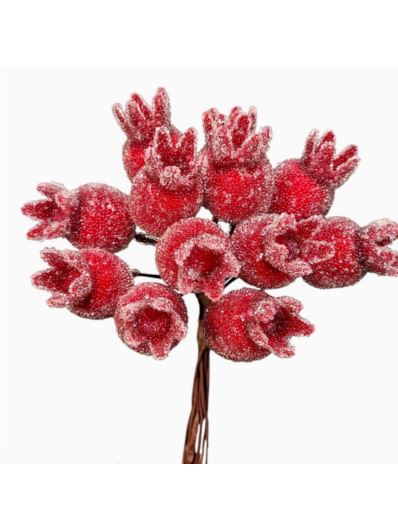 DZIKA RÓŻA OSZRONIONA WIĄZAKA 12CM 12SZT RED FROST
