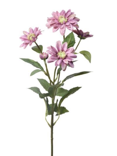 DALIA BISHOP OF LLANDAFF 75CM SUN669 DIRTY VIOLET