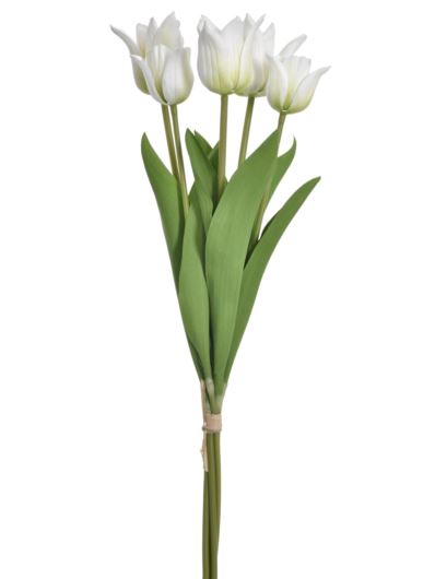 TULIPAN PĘCZEK PIANKA 5 KWIATÓW YD314 WHITE