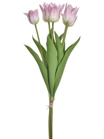 TULIPAN PĘCZEK PIANKA 5 KWIATÓW YD314 LT PINK