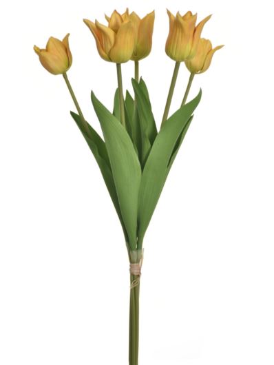 TULIPAN PĘCZEK PIANKA 5 KWIATÓW YD314 YELLOW