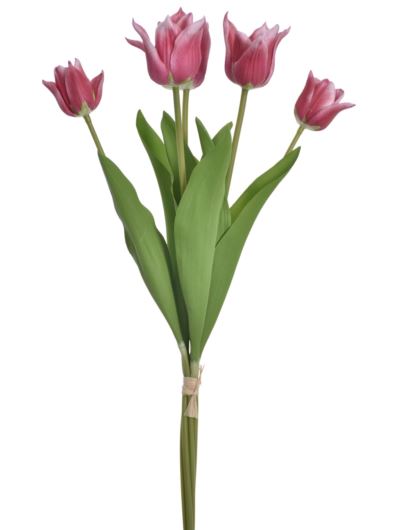 TULIPAN PĘCZEK PIANKA 5 KWIATÓW YD314 MAGENTA