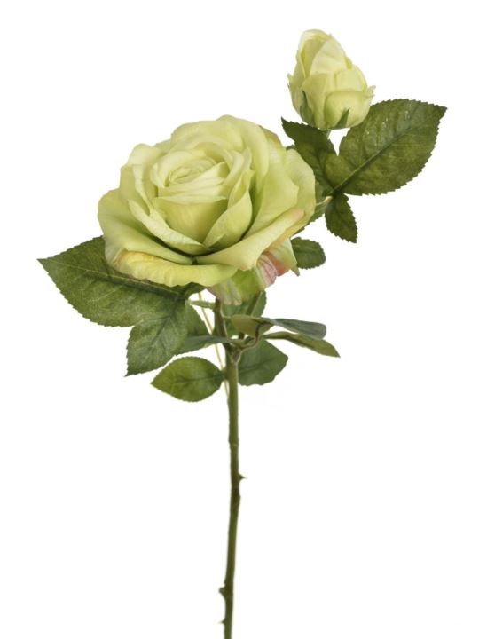 RÓŻA Z PĄKIEM 64CM REN2010 NATURAL TOUCH GREEN