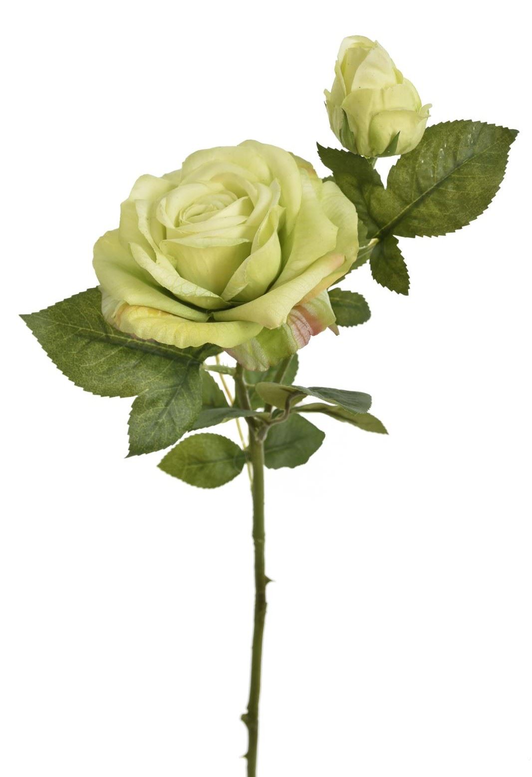 RÓŻA Z PĄKIEM 64CM REN2010 NATURAL TOUCH GREEN