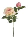RÓŻA Z PĄKIEM 64CM REN2010 NATURAL TOUCH LT PINK
