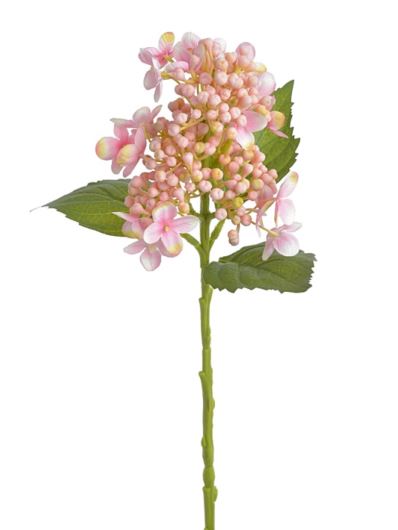 HORTENSJA PĄKI 38CM LT.PINK