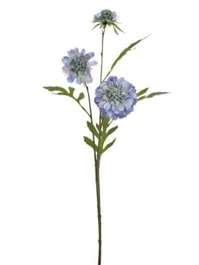 SCABIOSA GAŁĄZKA 62CM KLM1211 BLUE