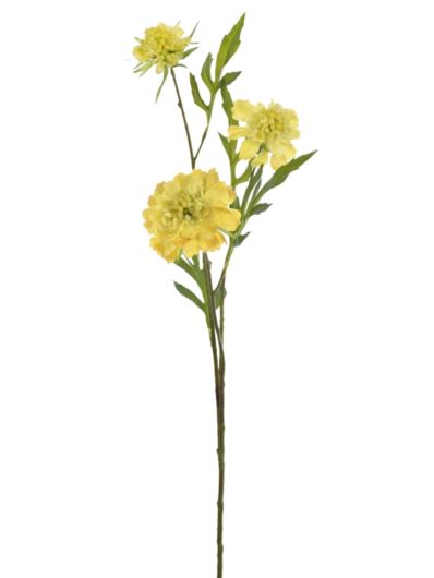 SCABIOSA GAŁĄZKA 62CM KLM1211 YELLOW