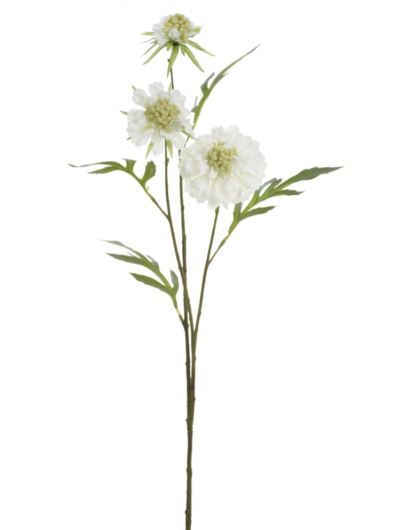 SCABIOSA GAŁĄZKA 62CM KLM1211 WHITE GREEN