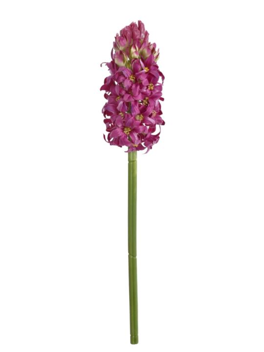 HIACYNT POJEDYNCZY 39CM SUN833 FUCHSIA