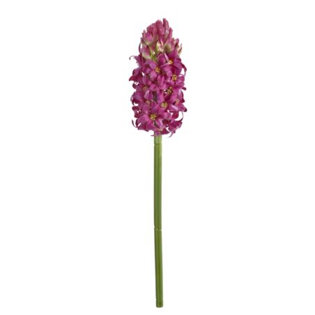 HIACYNT POJEDYNCZY 39CM SUN833 FUCHSIA