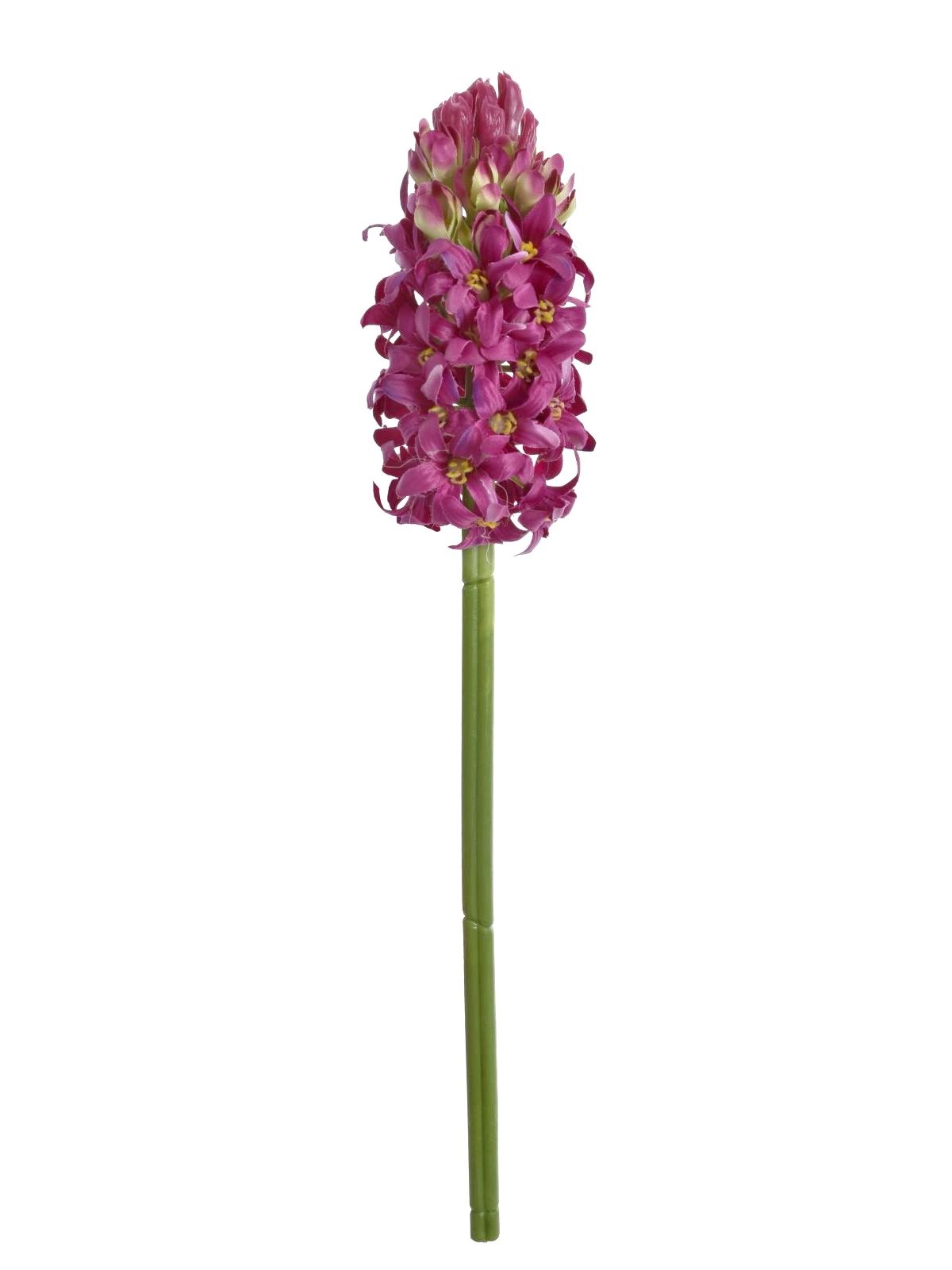 HIACYNT POJEDYNCZY 39CM SUN833 FUCHSIA