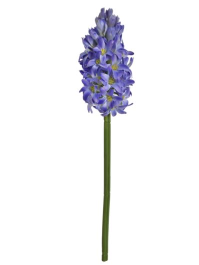 HIACYNT POJEDYNCZY 39CM SUN833 VIOLET LT BLUE