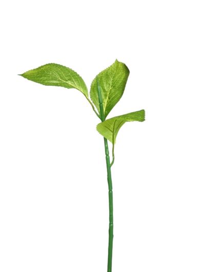 ŁODYGA DO HORTENSJI 58CM CHQ04 GREEN