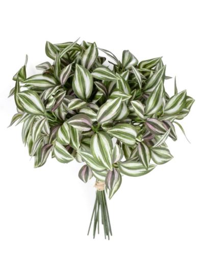 TRZYKROTKA PICK 35CM  KLM1192 WHITE GREEN PINK