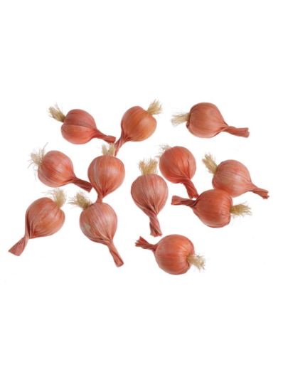 SZTUCZNA CEBULKA 5 CM SIATKA 12SZT NATURAL