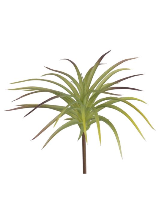 OPLĄTWA SUKULENT 16CM GREEN BURGUNDY