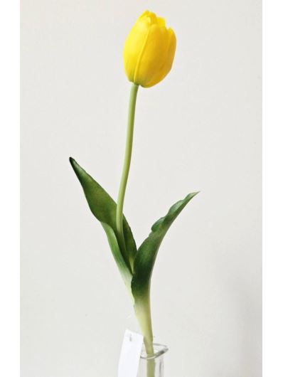 TULIPAN POJEDYNCZY GUMA 38CM YELLOW GREEN