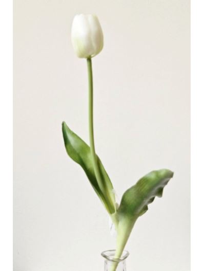 TULIPAN POJEDYNCZY GUMA 38CM WHITE