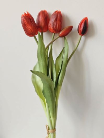 TULIPAN PĘCZEK GUMA NEW 5 KWIATÓW 38CM RED