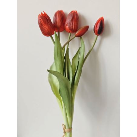 TULIPAN PĘCZEK GUMA NEW 5 KWIATÓW 38CM RED