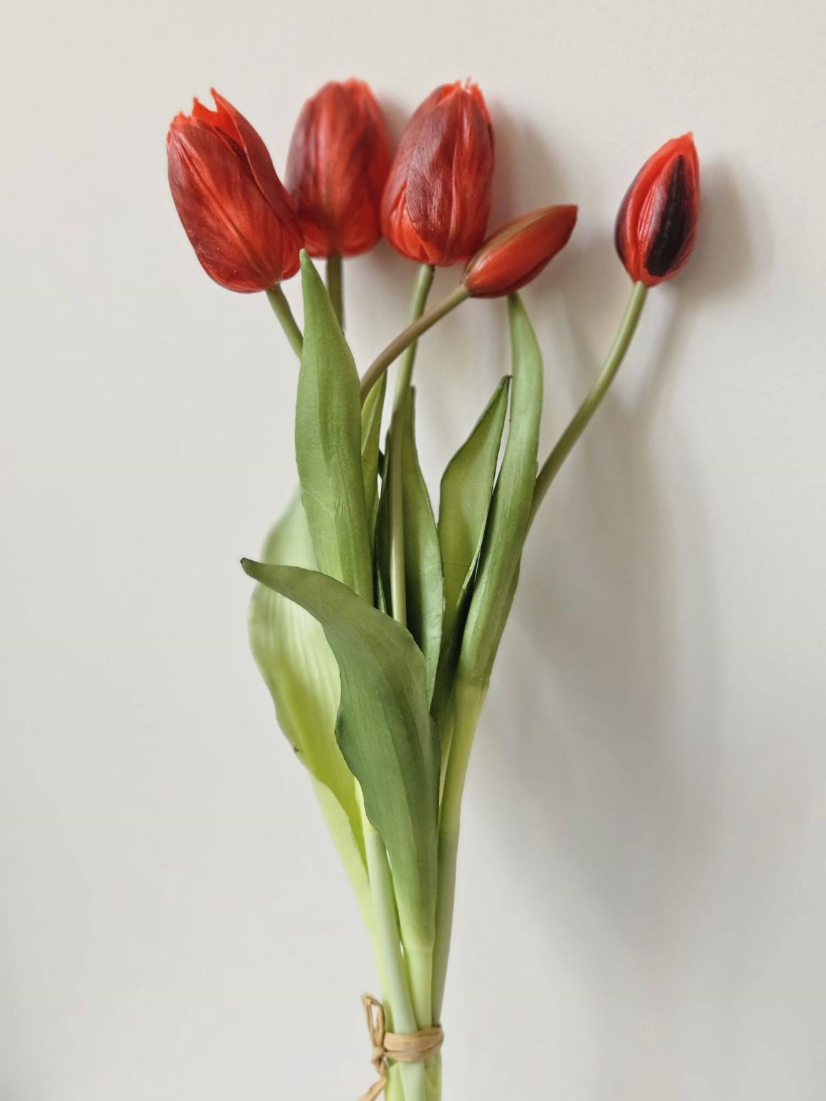 TULIPAN PĘCZEK GUMA NEW 5 KWIATÓW 38CM RED
