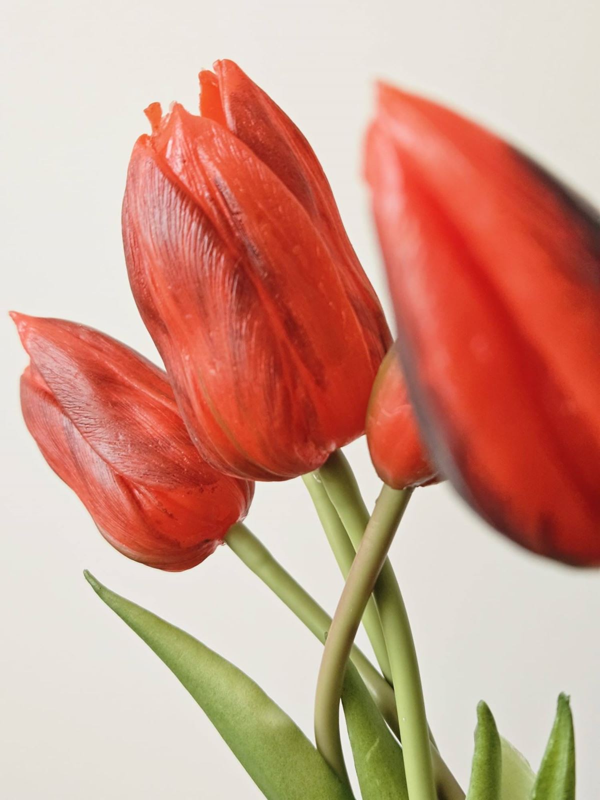 TULIPAN PĘCZEK GUMA NEW 5 KWIATÓW 38CM RED