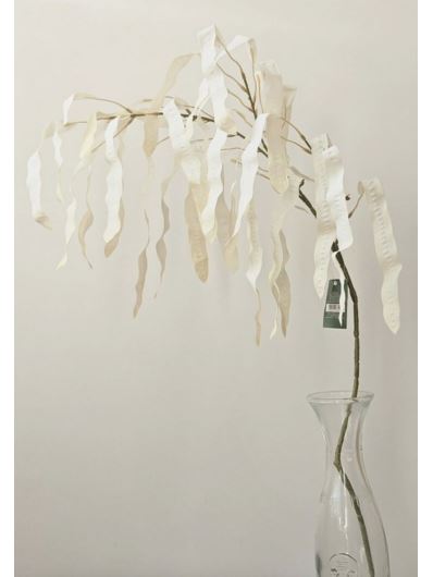 PETAI GAŁĄZKA  DEKORACYJNA 85CM CREAM WHITE