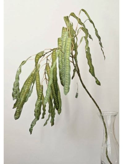 PETAI GAŁĄZKA  DEKORACYJNA 85CM GREEN