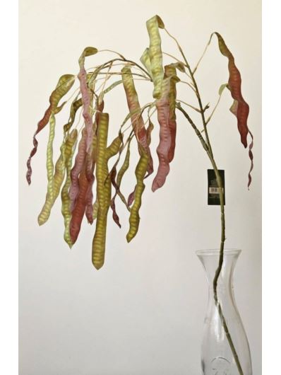 PETAI GAŁĄZKA  DEKORACYJNA 85CM GREEN BROWN