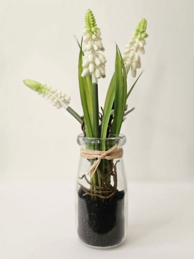 SZAFIERK W SZKE Z KORZENIAMI 20CM WHITE GREEN