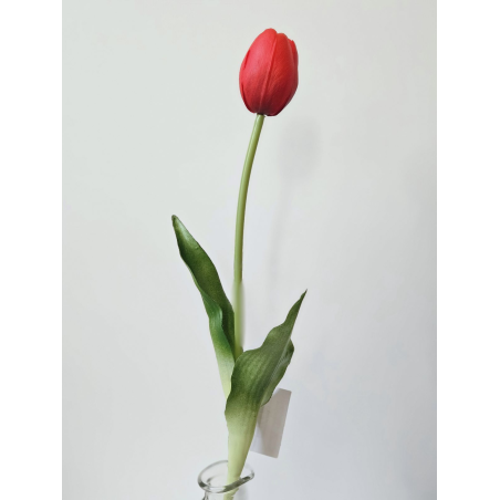 TULIPAN POJEDYNCZY GUMA 38CM RED