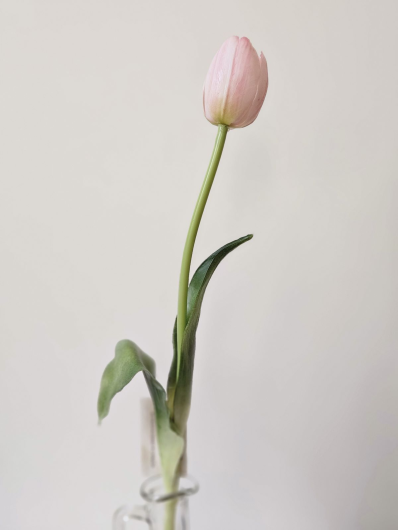 TULIPAN POJEDYNCZY GUMA 38CM LT PINK