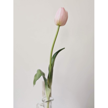 TULIPAN POJEDYNCZY GUMA 38CM LT PINK