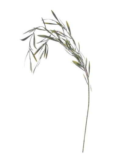 WIERZBA PŁACZĄCA - GAŁĄZKA 105CM POWDER GREEN